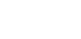 media_ws